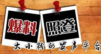 南京新闻爆料平台,聚焦城市热点，揭示民生关切